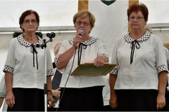 Magyaregres_2018_Falunap_3985