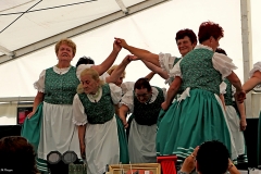 img_0703_23080896542_o