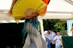 img_0789_22676161587_o